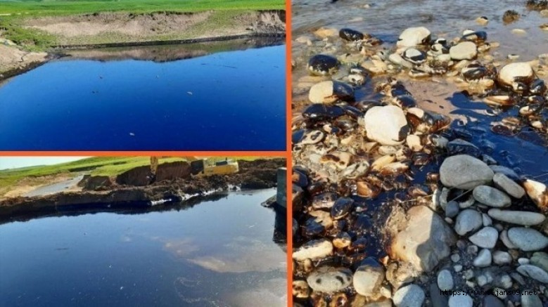 Diyarbakırda Kamışlıya Karışan Petrol İçin Acele Kamulaştırma