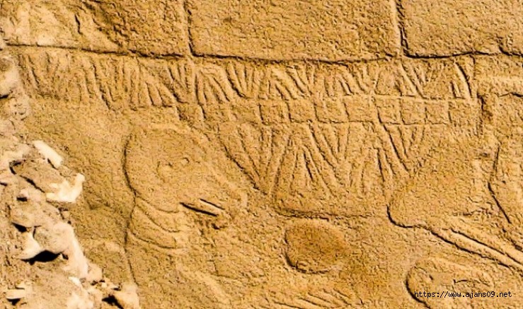 Göbekli Tepe  Şaşırtmaya Devam Ediyor